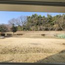 서부정미소 이미지