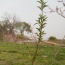 은경목장 이미지