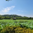 연꽃펜션 이미지