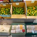 유라농장 | 제주도 기념품 먹거리 추천 오설록 녹차 유라실생 귤