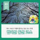 시감상과 창작 | 수성구 가벼운 등산 코스 추천 수성못이 보이는 법이산 등산 후기
