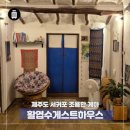 제주 서귀포시 혼여행에 추천하는 조용한 활엽수게스트하우스