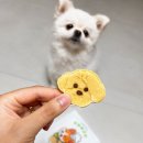 멍멍제과점 이미지