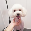 도담도담이발소 이미지