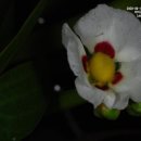 파주대원초등학교 이미지