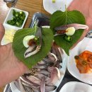 다래간주 | [서울 양천]내돈내산 가을전어와 대하가 있는 목동역 다래간주 솔직 후기