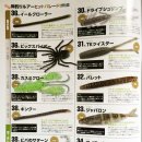 카스파이더 이미지