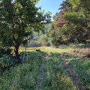 옥서4길 이미지