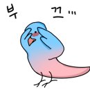 베니키아호텔 산과바다 속초 이미지