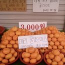 빨강장화피아노교습소 | 안개도시