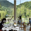 선정목장 | 가을 여행, 가평여행 추천 - 양떼목장