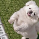 캠핑n펜션 이미지