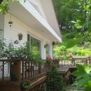 오색로뎀나무아래 이미지