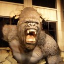 분노의 승화 이미지