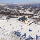 휘닉스파크 이미지