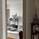 피자스쿨안면점 | 쫄보소녀의매복사랑니발치후기🦷💔(+3일차후기추가)