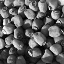 경천식물원 이미지