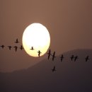 달맞이봉(공원) 이미지