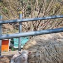 영민목장 이미지