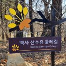 이천산수유마을 이미지