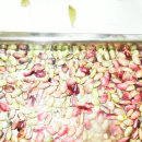 오색어린이집 이미지