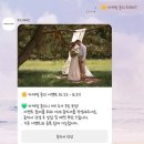 무수 | W_ 웨딩사진 사설보정 무수스튜디오 배경제거, 컨페티추가 만족후기