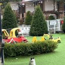 파인벨리팬션 캠핑장 이미지