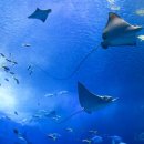 서울장내과의원 이미지