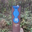 남일닭갈비 이미지