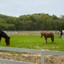 송산목장 이미지