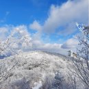 제180차 1월 정기산행 이미지