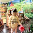딸기어린이집 | (어린이집 숲숲 체험 후기)딸기 따기부터 오이 수확까지 자연 속 배움