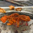 소문난참숯무쇠화로구이 | 천호역맛집 화로상회 천호점 퀄리티 대박인 직화구이 가성비 무한리필 먹방 도전