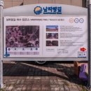 무선로3 이미지