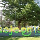 둔산북로90번길 이미지