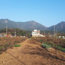 송포양계 이미지