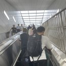 엠스테이빌딩 이미지