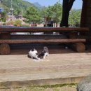 방림계촌도서관 이미지