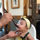 모모일식 이미지