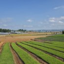 서해랑길 33코스 후기 : 상수장3반버스정류장~무안황토갯벌랜드 – 2025.10.25. 이미지