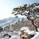 더화담