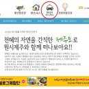 동그라미 여행사 이미지