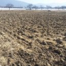 용방면사무소 이미지