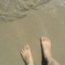 지상낙원 이미지