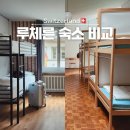 더비치 호스텔 | 루체른 숙소 추천 유스호스텔, 바라바스 비교 위치 조식 가격 가성비 후기