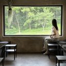 코너스톤작은도서관 | 수원 행궁동 카페 추천 뷰 예쁜 코너스톤