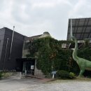 키앤우 | 우석헌자연사박물관 6세,4세 남매 2회차 방문후기