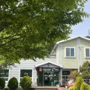 일공공샤브 이미지