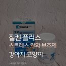 정케어 | 질켄플러스 강아지고양이스트레스케어영양제 14일 급여 후기, 장기적인안정케어 시작했어요