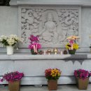 강동현한의원 이미지